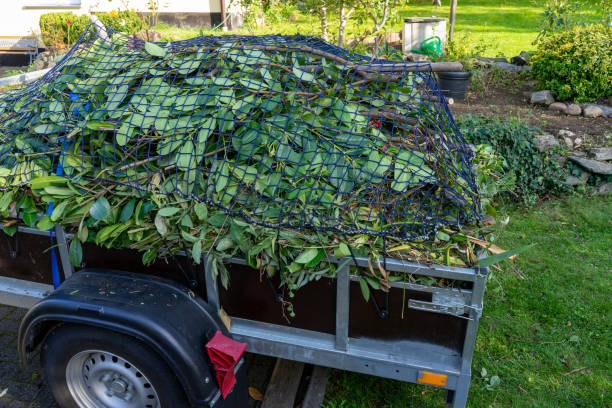 Best Residential Junk Removal  in Port Richey, FL